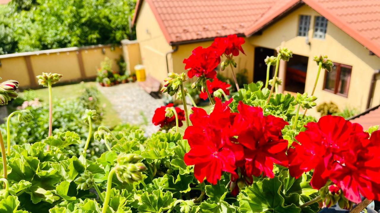 Leto House Apartman Zsilvásárhely Kültér fotó