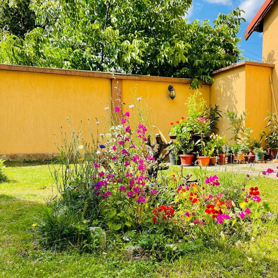 Leto House Apartman Zsilvásárhely Kültér fotó